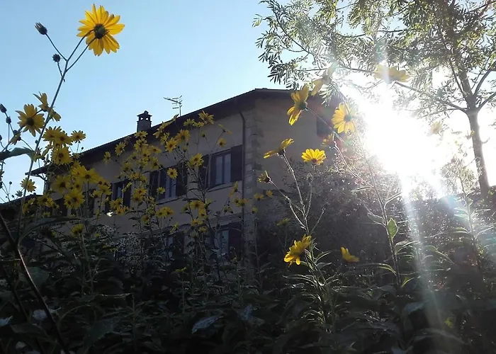 Fattoria La Guedrara